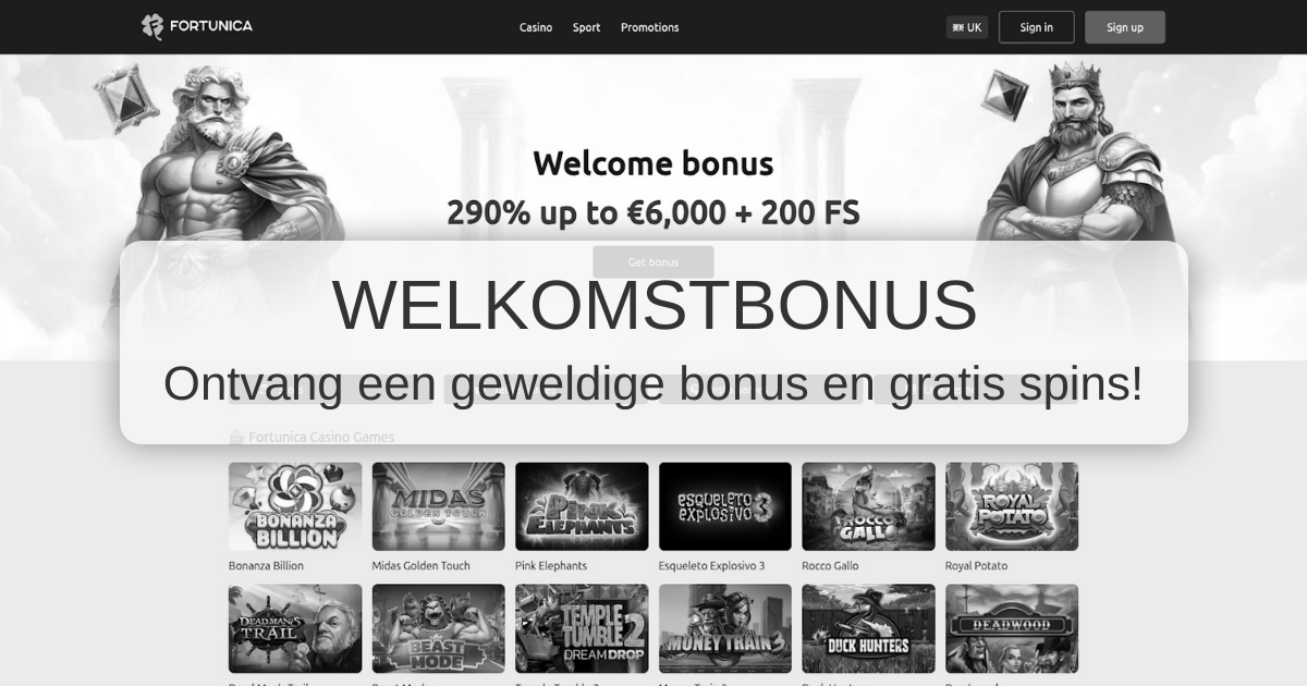 Fortunica Casino Nederland
